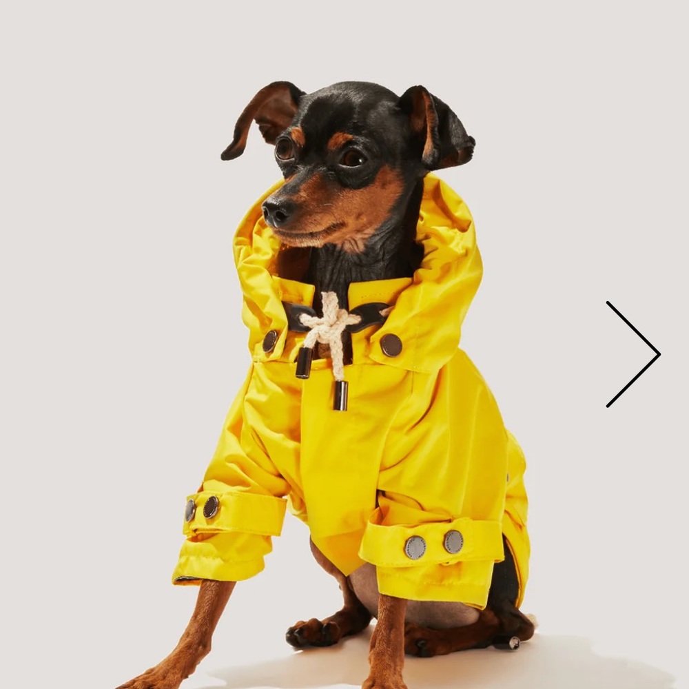Max Bone RainCoat